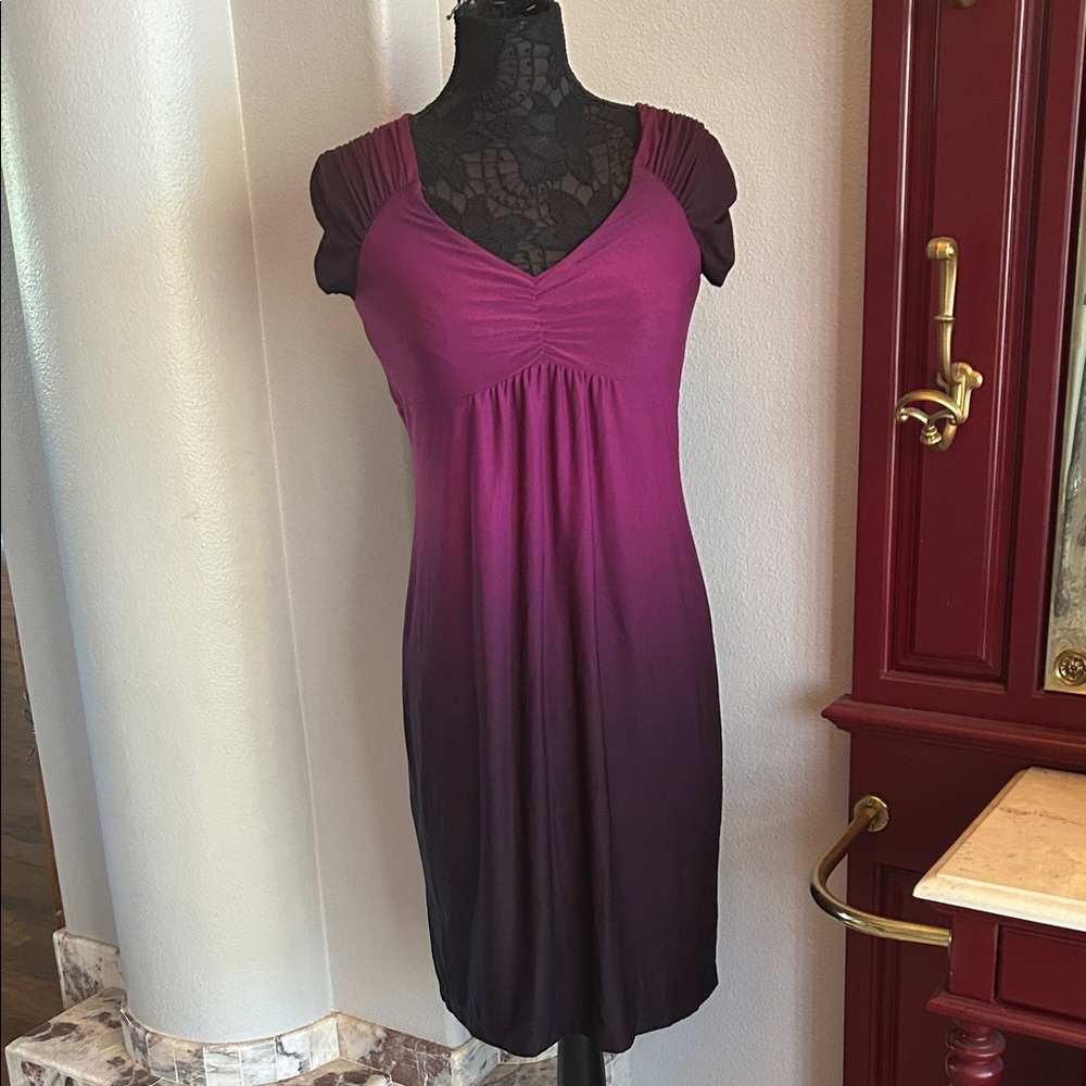 Blu Sage Purple Ombre Dress